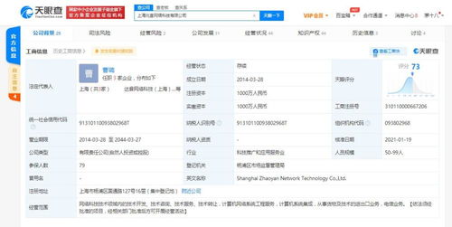 計算機系統集成 構建高效信息生態的關鍵路徑